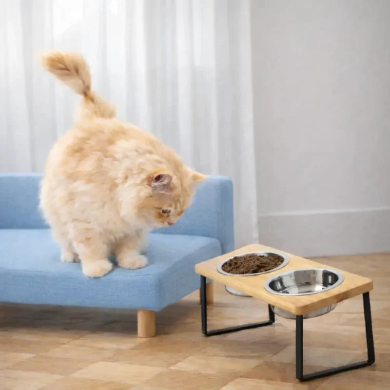 Gamelle inclinée pour chat › Garéon