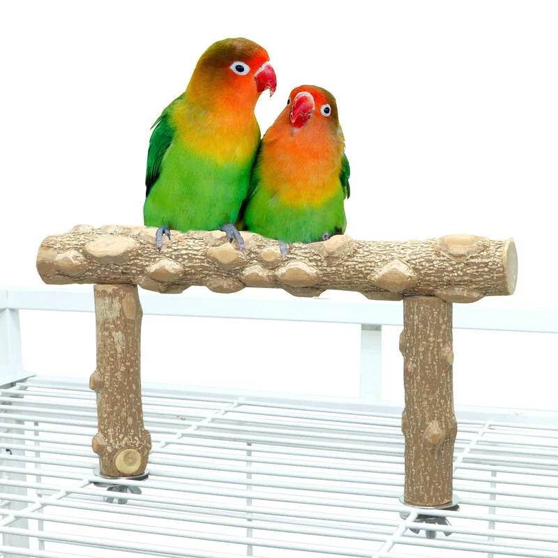 KINTOR – Support de perchoir en bois naturel pour perroquet (S) – Branche de cage pratique