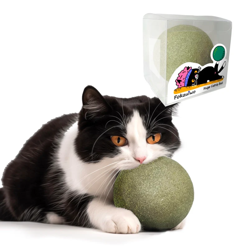 Fokauiwo Balle Catnip Géante 3,94 pouces – Jouet Chaton Jumbo, Dentition et Détente pour Chats