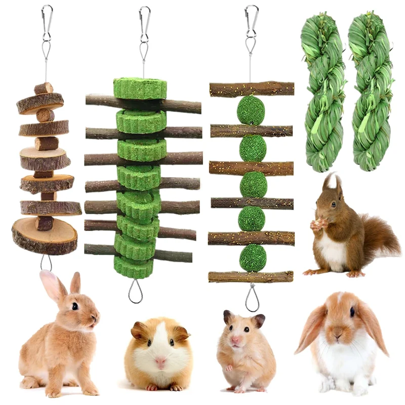 GREMBEB - 5 pièces Jouets Lapin et Rongeurs | Balle de Foin Timothy et Gâteau d’Alfalfa