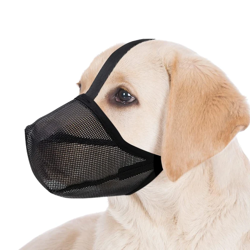 Miavers Muserolle pour Chien – Mesh Doux, Sangles Réglables, XS Noir