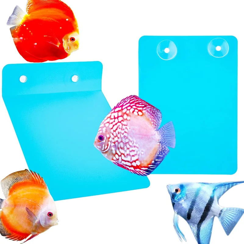 DQITJ - Lot de 2 Planche de Ponte Angelfish et Discus pour Aquarium