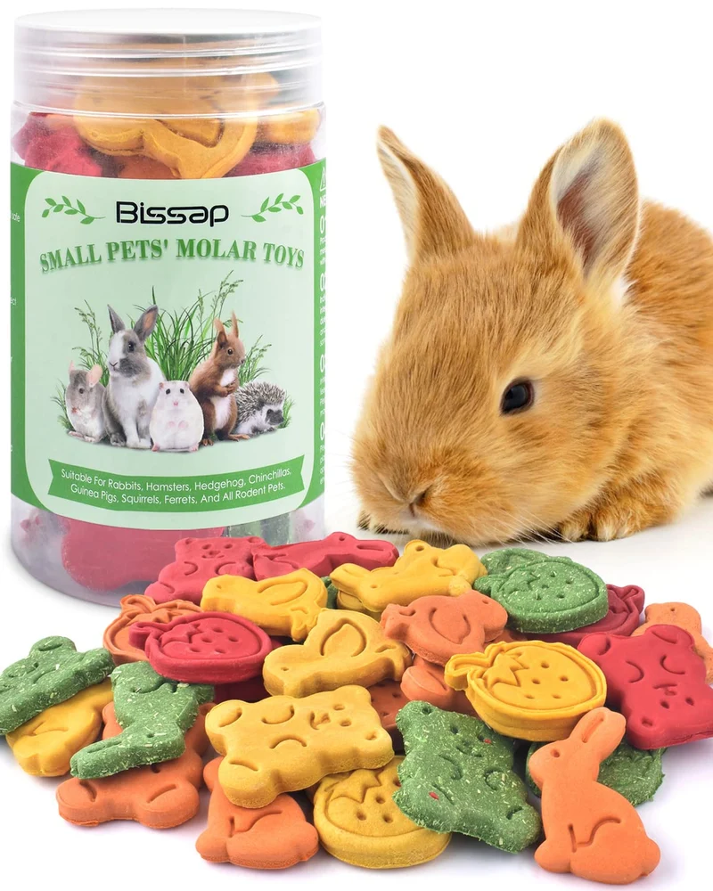 Bissap 32 pièces : Jouets à mâcher pour lapins et petits animaux – foin Timothy, carotte, potiron et fraise