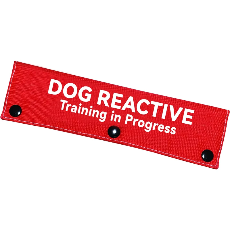 Advivio Laisse réactive pour chien – Accessoire rouge avec patch d’identification