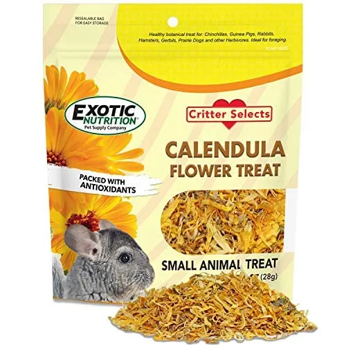 Exotic Nutrition Calendula – Friandise naturelle de fleurs de calendula (1 oz) pour petits herbivores