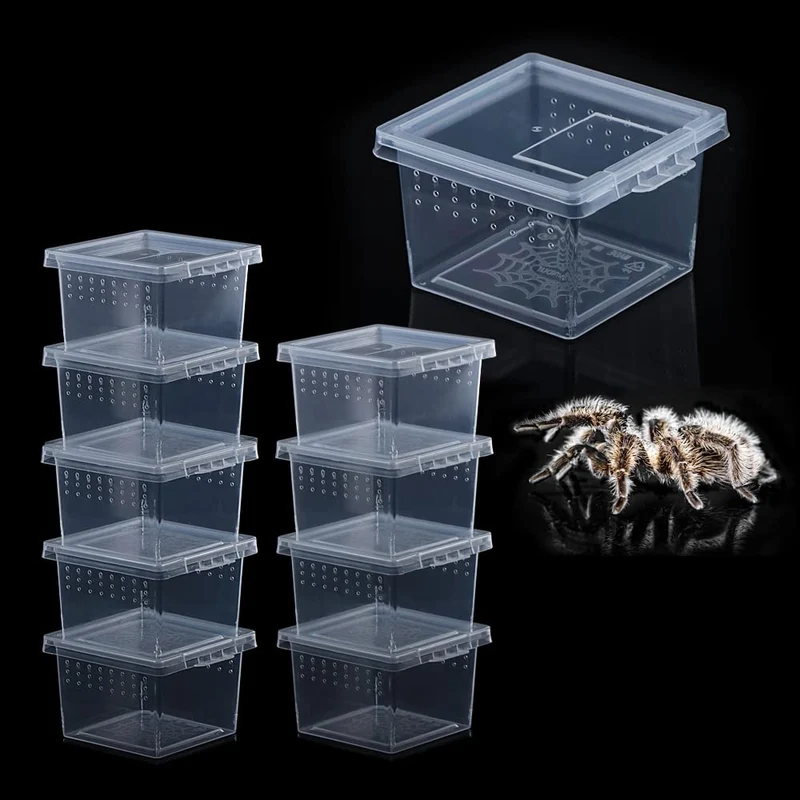 DQITJ — 10 Boîtes Terrarium Insectes Petit Format en Acrylique