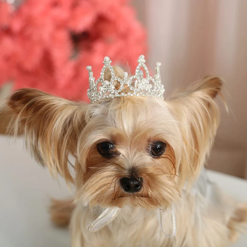 Lovelyshop Pet Series Couronne royale argentée XS – pour chien et chat | Accessoire glamour