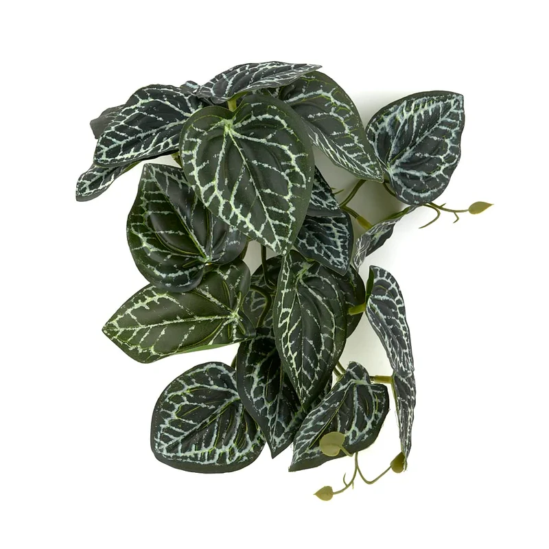 WOLEDOE Plantes suspendues pour terrarium – Anthurium Crystallinum artificiel