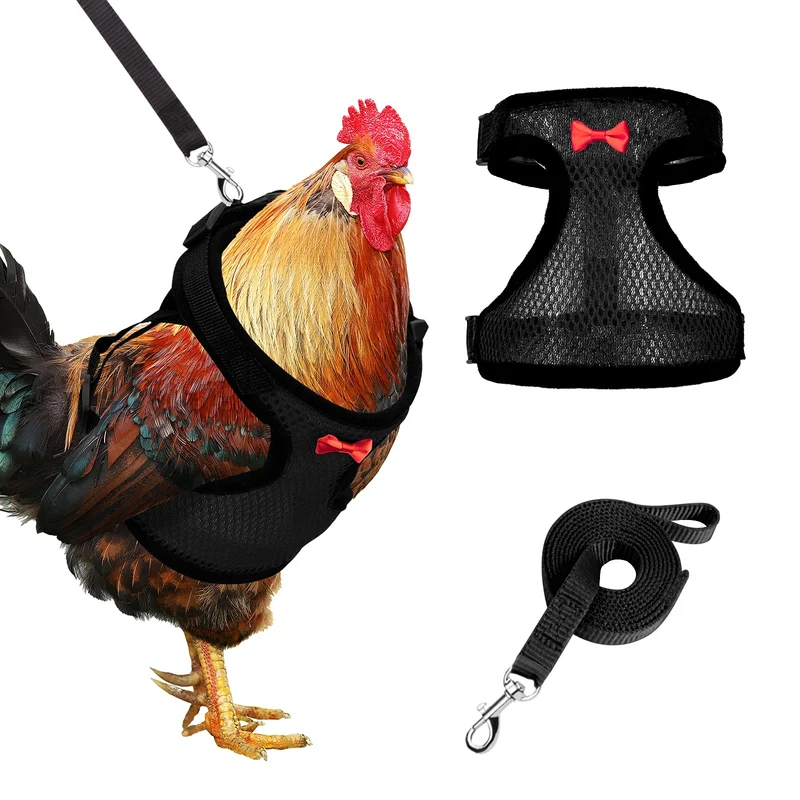 Adhafera Harnais et Laisse pour Poulet – Ajustement Double, Confort et Sécurité (Noir, Taille L)