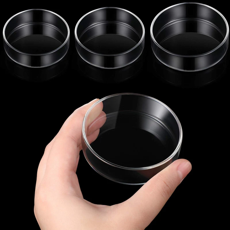 Patelai – Assiettes d’alimentation pour aquarium en verre, 3 pièces (60 mm, 65 mm, 80 mm)