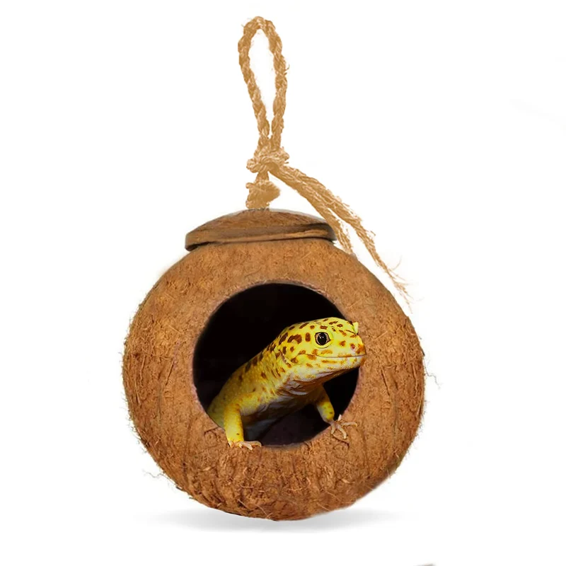 SunGrow Coco Hut pour Gecko Léopard – Accessoires d’escalade, Refuge en Coquille de Noix Brute, Décor Terrarium (Ouverture 2,5 pouces)