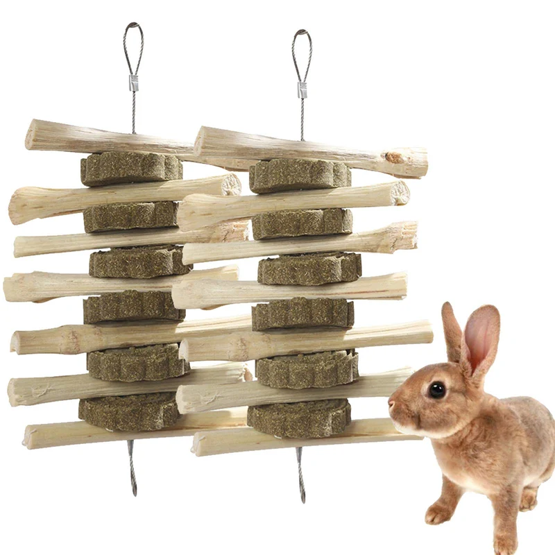 kathson – Friandises pour cochon d’Inde et jouets suspendus dentition – Ensemble de 2