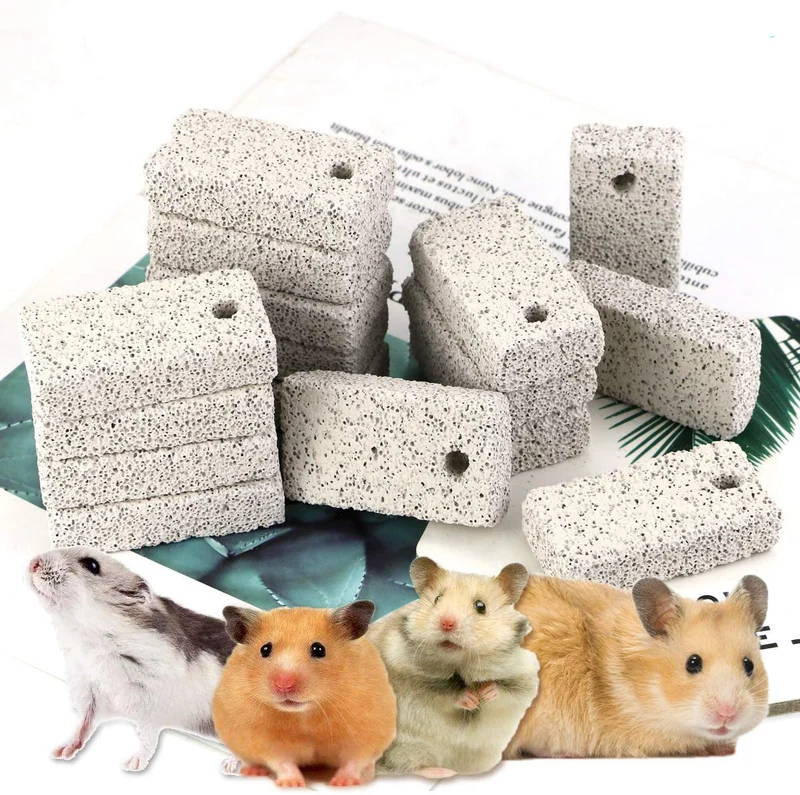 Newbested – 20 Pièces Bites Lava pour Dents – Bloc Pierre Minérale avec Calcium pour Hamsters, Perroquets, Chinchillas, Cochons d’Inde et Gerbilles
