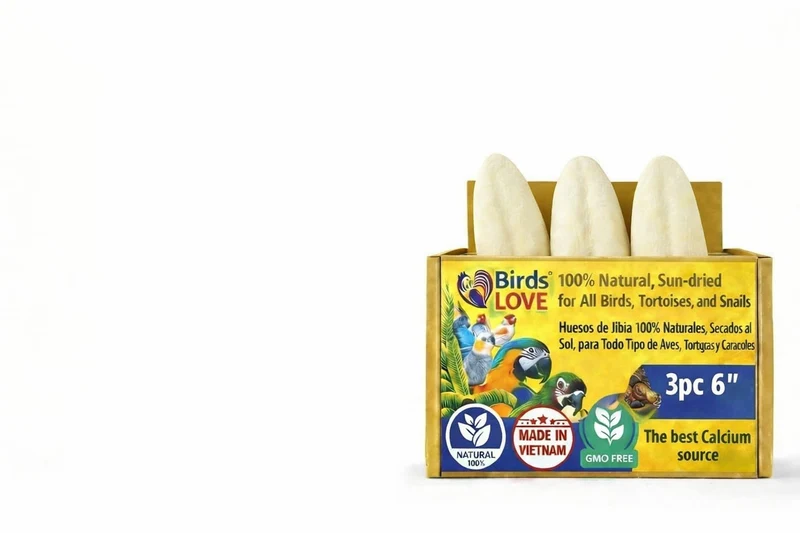 Birds LOVE – Os de Seiche 5,5–6 pouces pour Oiseaux – Calcium Naturel et Soin du Bec – Lot de 3 avec Support – Fabriqué au Vietnam