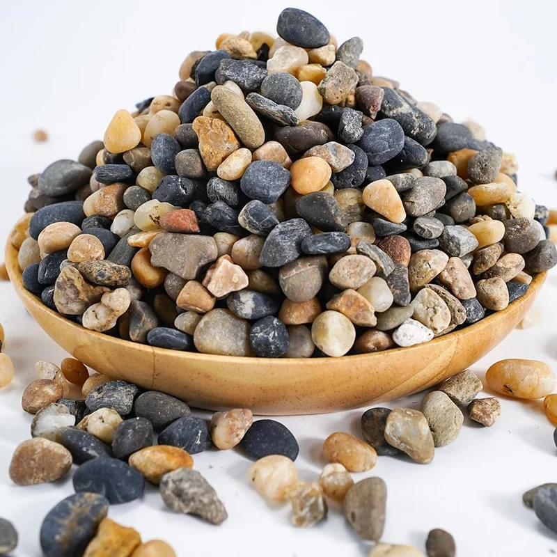 TOYPOPOR Pierres de rivière décoratives naturelles – Gravier multicolore pour aquarium et jardin | 1 kg