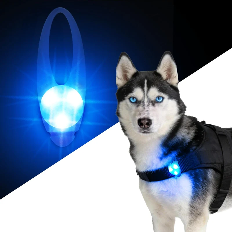 LaRoo – Collier lumineux LED pour chien bleu, 3 modes, étanche, attache facile, haute visibilité