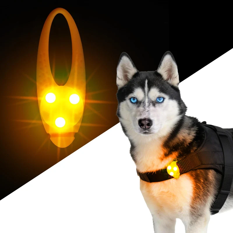 LaRoo Collier Chien Lumineux LED – Fixation Facile, Visibilité Nocturne