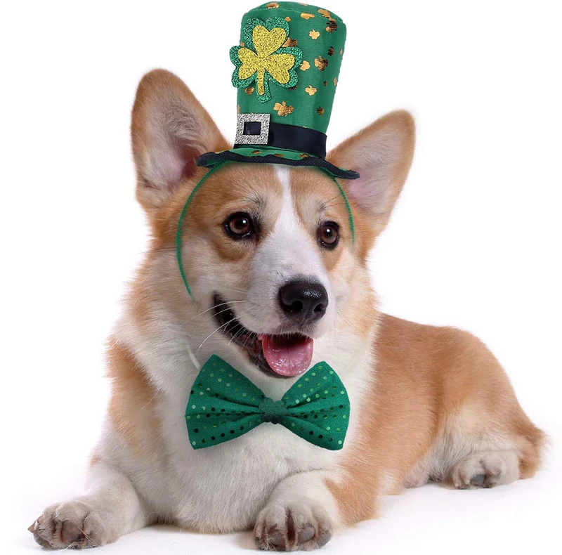 BoomBone Saint-Patrick pour chien – Kit serre-tête vert et noeud papillon