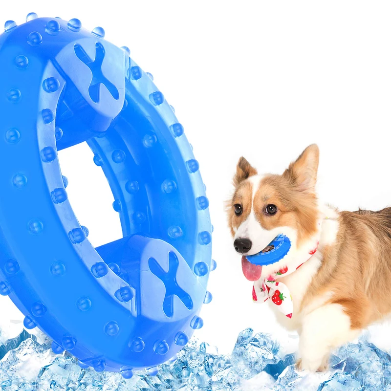 NWK JOUET DENTITION CHIEN – Anneau Rafraîchissant pour Chiens et Chiots