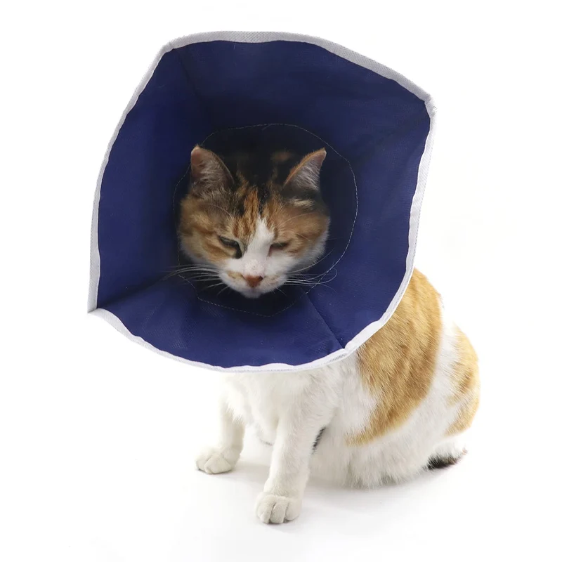 QIYADIN Collier de récupération pour chats et chiots — Doux, non tissé, ajustable (M)