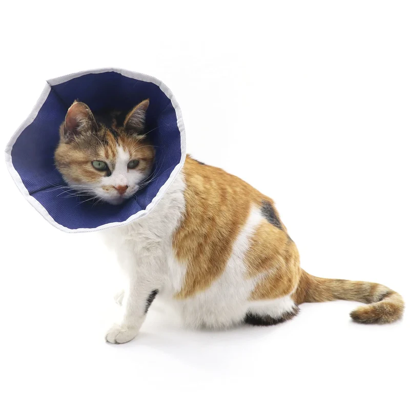 QIYADIN Collier de récupération doux pour chats et chiots – Confortable, réglable, tissu non tissé (S)