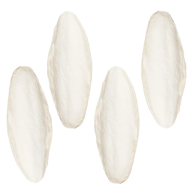 SunGrow – Lot de 4 Os de Seiche 6 po pour Cacatoès, Tortues et Crevettes – Calcium pour Bec et Coquilles