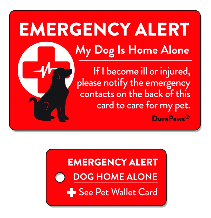 DuraPaws – Carte d’Alerte Urgence Chien – 2 Pièces + Porte-clés, Surface Écrivable