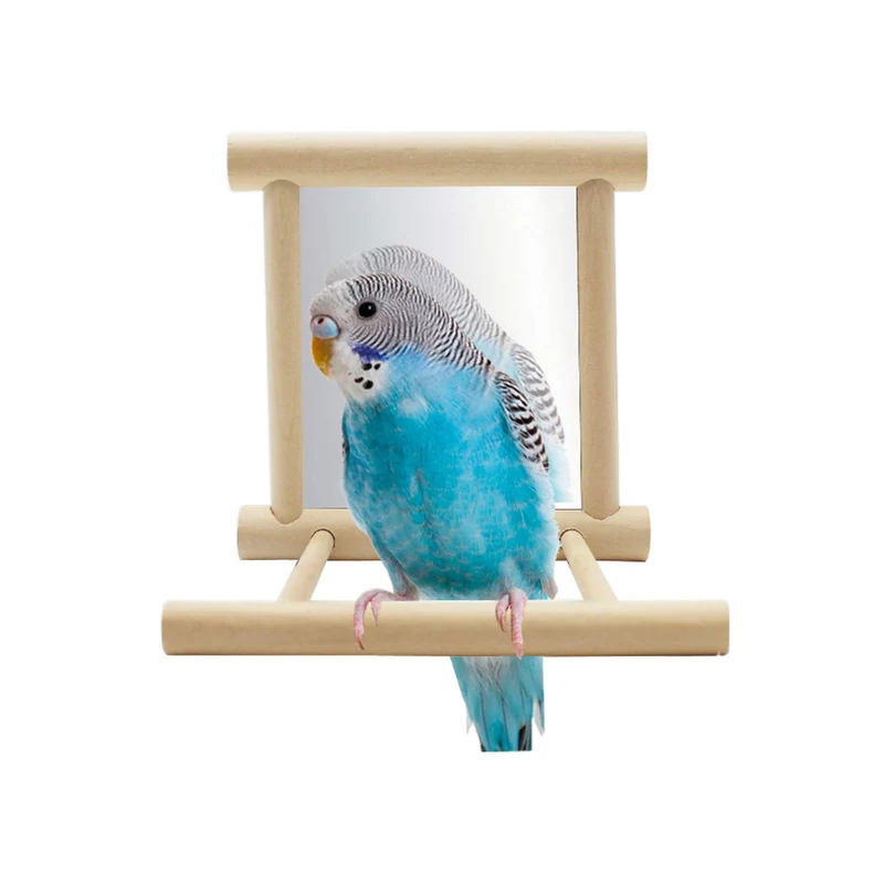 Hypeety – Jouet miroir pour oiseaux avec balançoire et perchoir