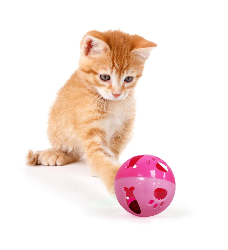 Pets First Balle pour Chats - Grande Taille avec Clochette | Jeu Interactif