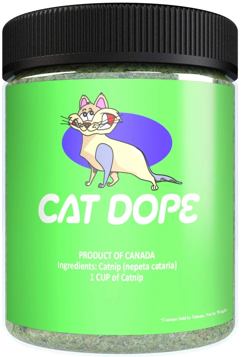 Cat Dope — Herbe à Chat 100% Naturelle, Énergise et Stimule les Chats (Sans Addiction)