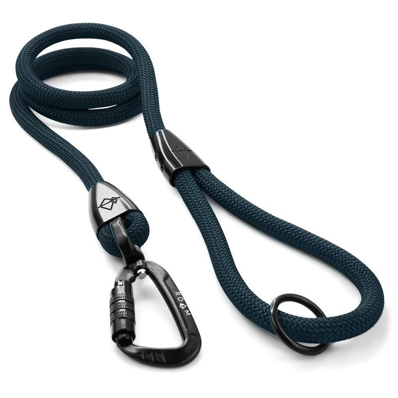 MADE TO ROAM Premium Explorer Leash – Laisse d’escalade 6 pieds avec mousqueton à verrouillage automatique en aluminium aéronautique, Colorado Nightsky