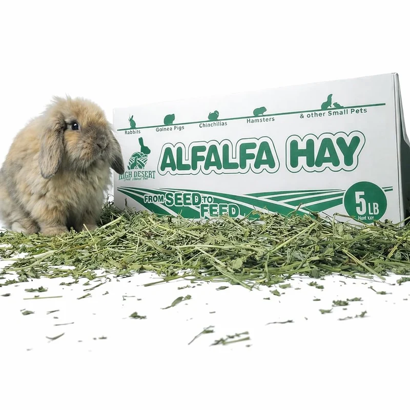 High Desert Foin d’Alfalfa – Protéines élevées et feuilles douces pour jeunes animaux | Nourriture naturelle pour lapins et cochons d’Inde | 5 lb