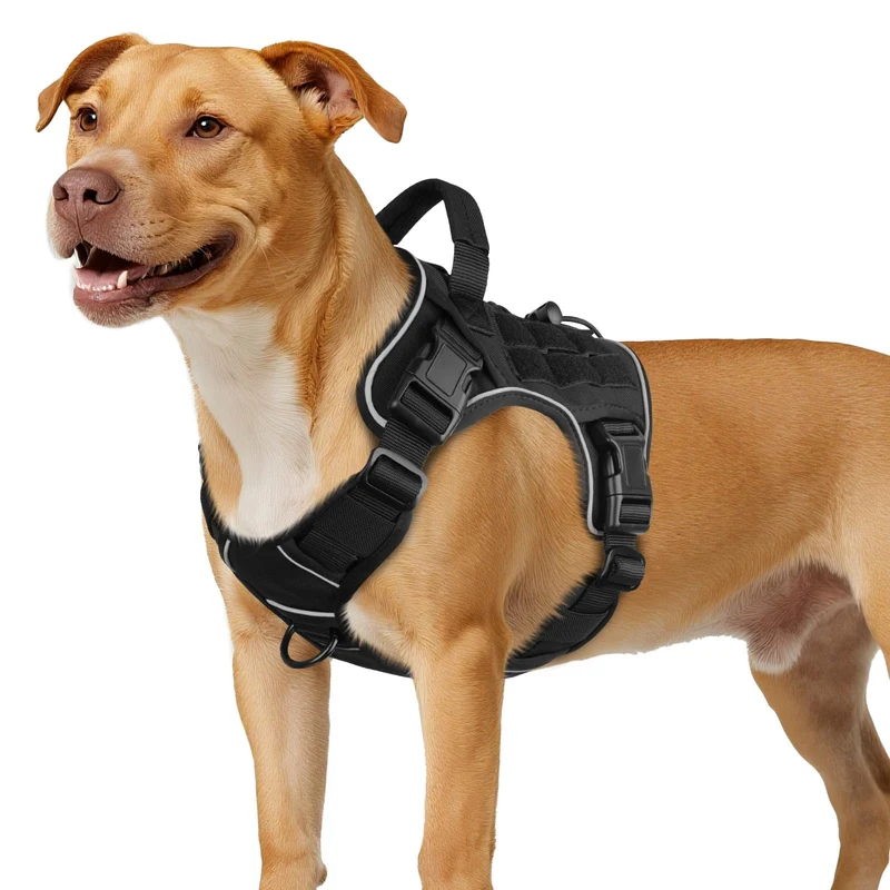 WINGOIN Harnais Chien Militaire Tactique Moyen – Anti-Tirage, Poignée, Réfléchi (M)