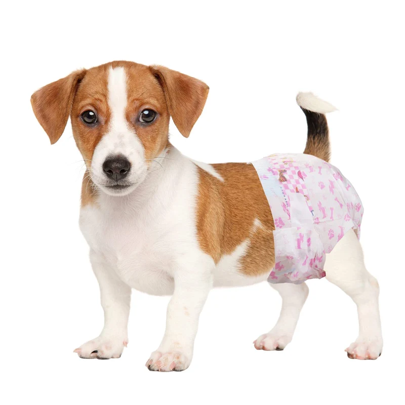 Dono Couches Jetables pour Chien Femelle - Absorption Ultra et Ajustement Étanche (Petite)