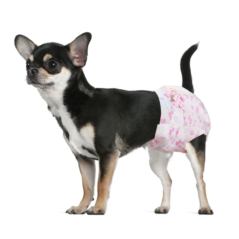Dono Couches Jetables pour Chien Femelle — Absorption Élevée, Gel Séchage Rapide, Étanchéité XS