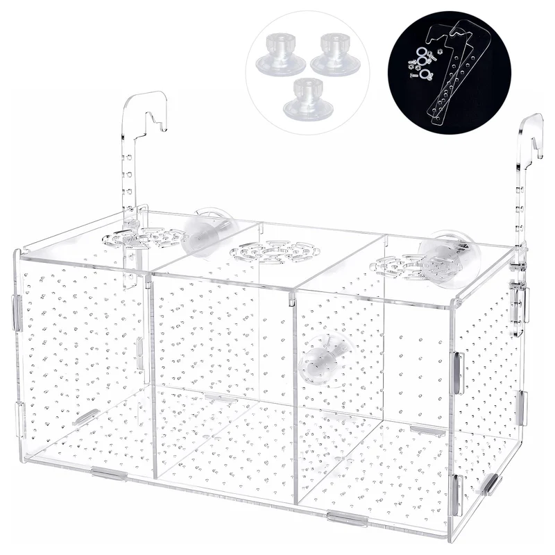 ATPWONZ Boîte d'Élevage Poissons en Acrylique – Incubateur & Isolation 11,5 x 6 x 6