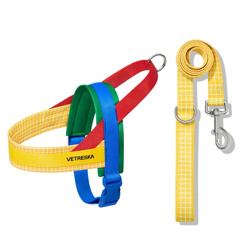 VETRESKA MoMA Harnais et Laisse Chien Jaune XS – Pas de Tirage, Confort et Contrôle