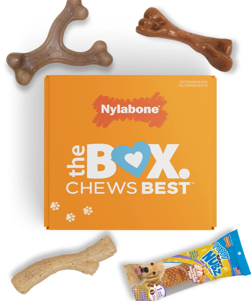 Nylabone Puppy Gift Box – 3 jouets à mâcher robustes + 1 friandise naturelle pour chiots jusqu’à 25 lb (11 kg) – Coffret 4 pièces