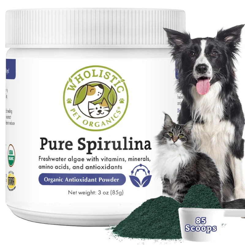 Wholistic Pet Organics Spiruline Poudre – Soutien Antioxydant et Immunitaire pour Chiens et Chats – 85 Dosettes