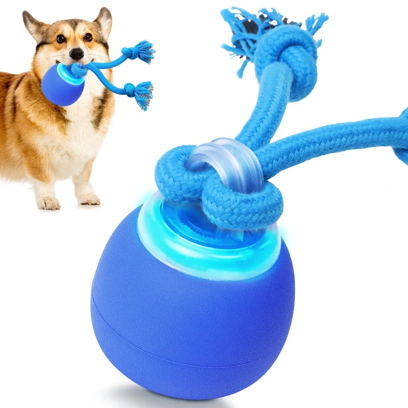 BENTOPAL Balles interactives pour petits chiens – Jouet en mouvement et couinement (Bleu)