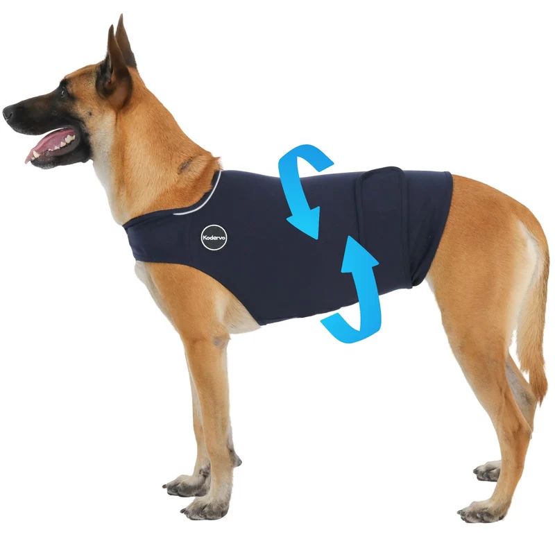 Kodervo Gilet Anti-Anxiété pour Chien — Calme Sans Médicaments