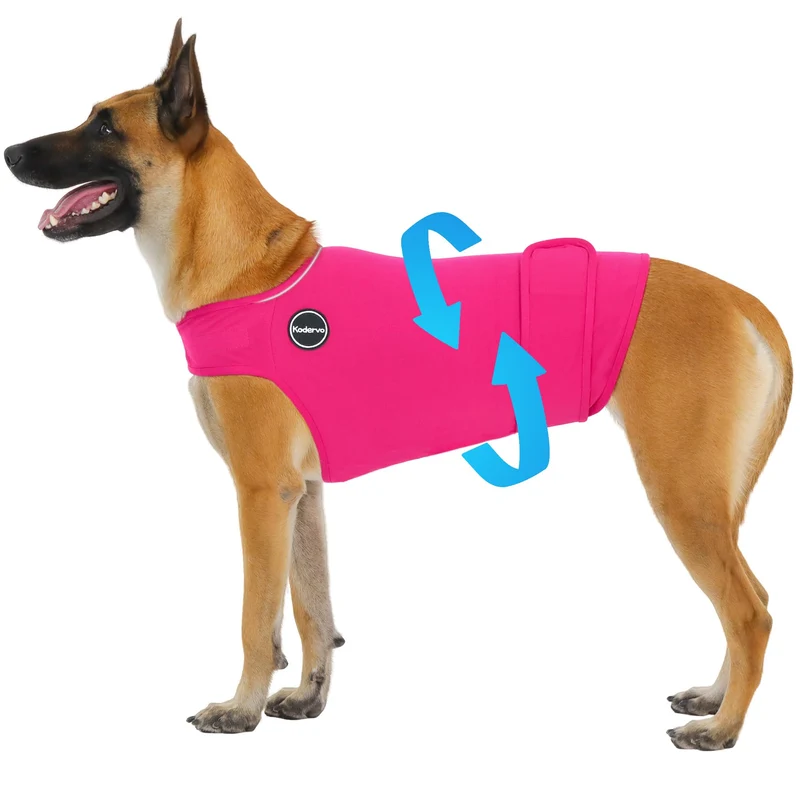 Kodervo Harnais Anti-Anxiété pour Chien — Veste Calme et Respirante Sans Médicament