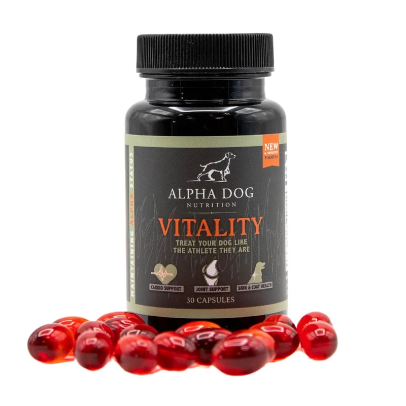 Vitality par Alpha Dog Nutrition – Huile de Krill pour Chiens | Réduit les allergies, démangeaisons et perte de poils