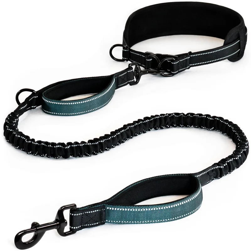 DearWells Laisse à la taille pour chien – Marche et course sans les mains, Boucle métallique et bungee, Soutien lombaire Néoprène