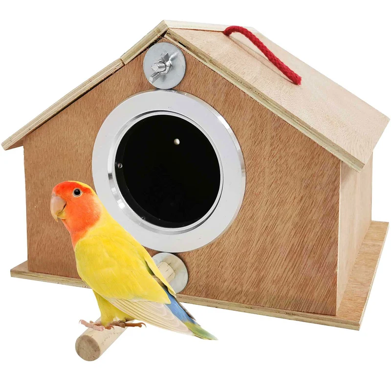 kathson Boîte Nid Perruche et Psittacines – Habitat de Reproduction Bois Naturel (10,1''x8,5''x7,3'')