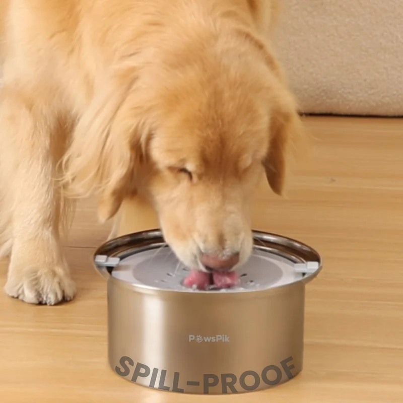 PAWSPIK Gamelle eau chien 4L – Anti-renversement, Plateau flottant, Sans BPA, Lave-vaisselle