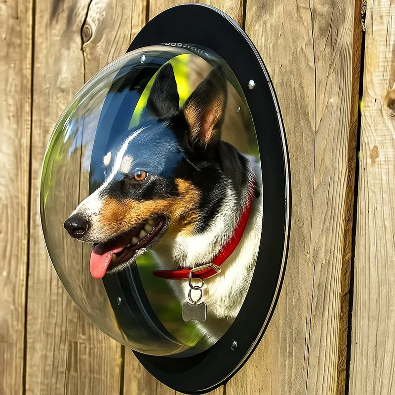 H&B Luxuries Dôme Acrylique – Fenêtre pour Chien sur Clôture FW058