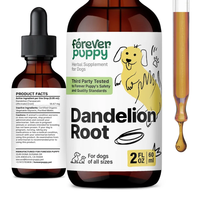 Forever Puppy Dandelion Root Drops pour chiens – Soutien hépatique et détox, toutes tailles – 2 oz