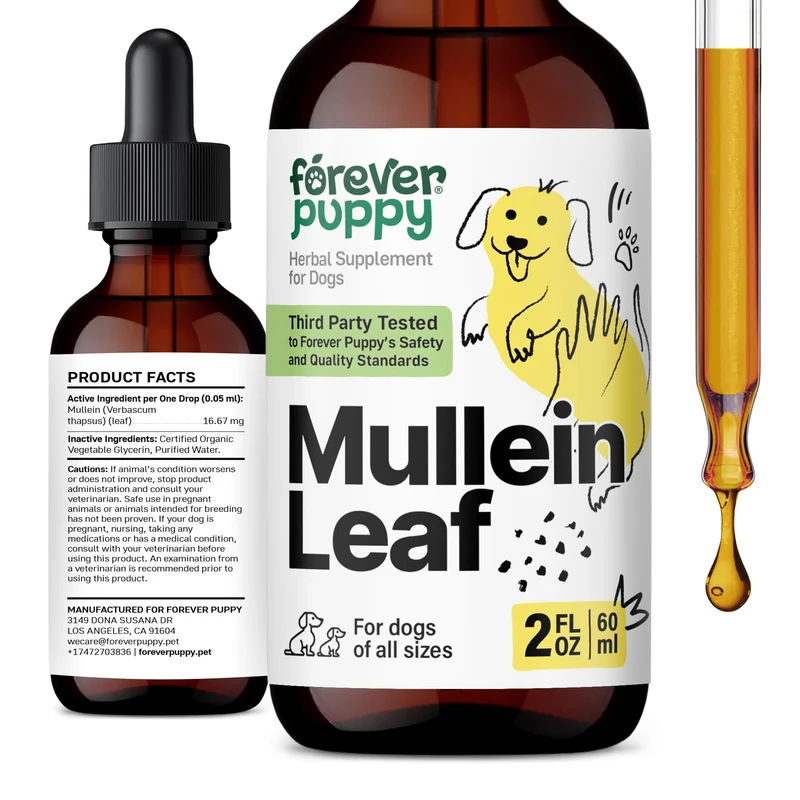 Forever Puppy Gouttes de Mullein pour Chiens – Soutien Respiratoire, Sans Sucre ni Alcool – 60 ml