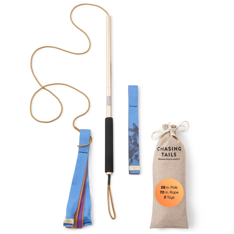 Chasing Tails – Pôle de flirt pour petits chiens, 26 pouces, corde de 70 pouces, 2 jouets inclus